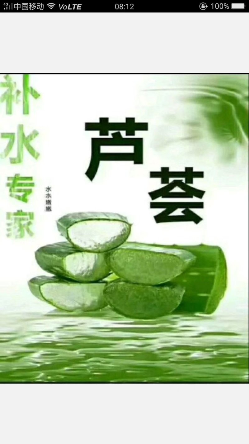 库拉索美容食用芦荟基地，