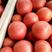 【优选】精品硬粉西红柿酸甜可口产地直供电商，超市