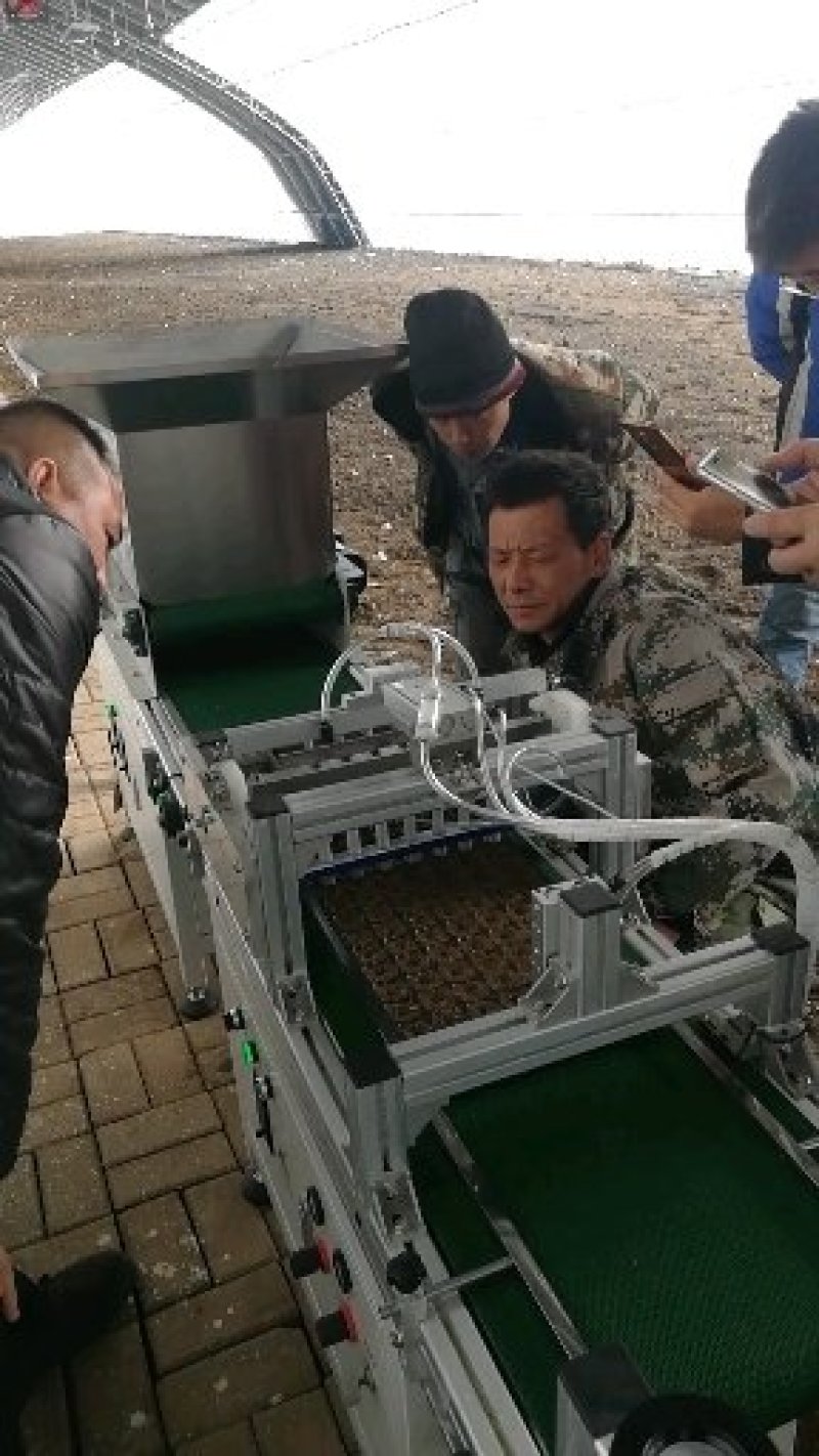 全新一代穴盘育苗播种机流水线