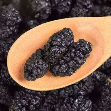 优质桑葚干特级桑葚干大颗粒产地供应电商源头厂家一件代发