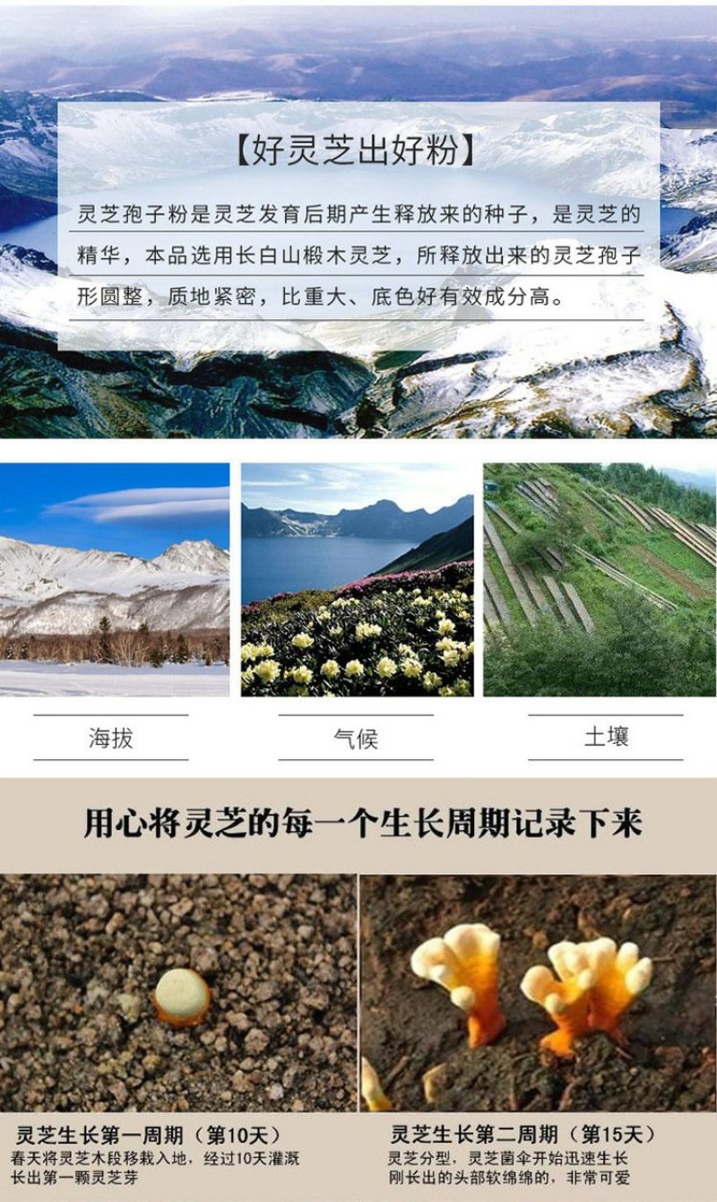 灵芝孢子粉东北长白山灵芝袍子粉厂家基地原料批发