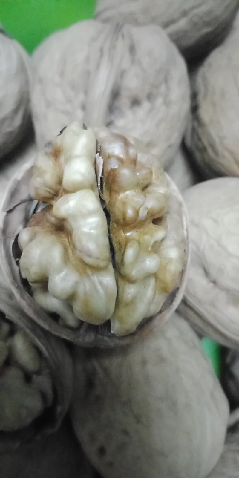 【有好货】新疆185纸皮核桃2023年新货，农户自产自销