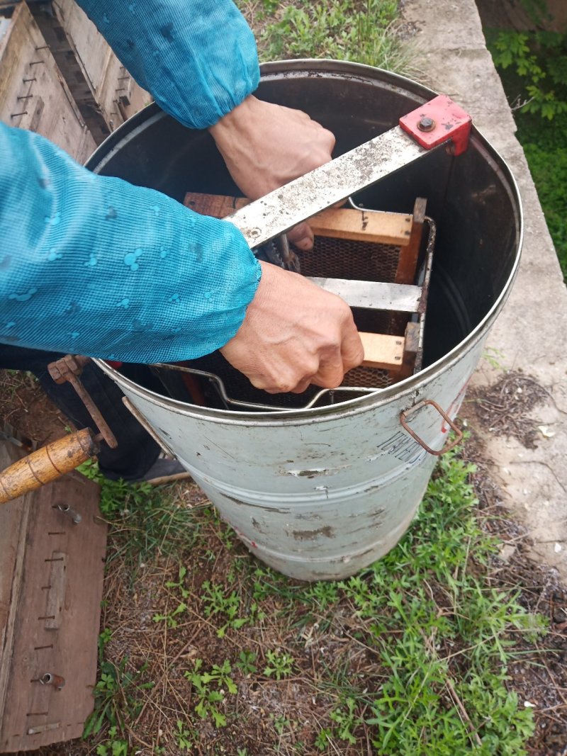 秦岭纯洋槐蜜