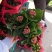 观花植物