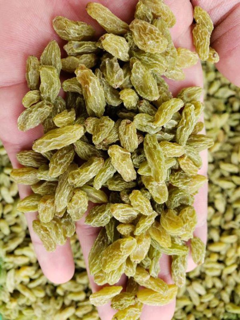 新疆葡萄干绿香妃葡萄干厂家批发电商商超社区袋装支持代