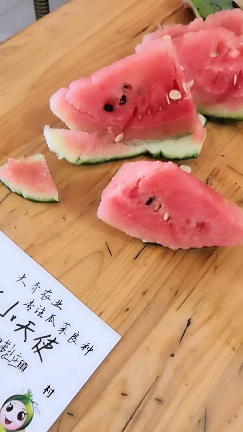 精品礼品西瓜2K小天使、菠萝蜜