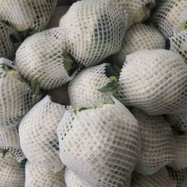 精品菜花