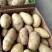 山东土豆荷兰十五！沃土！v7库存货开始出库供应代发