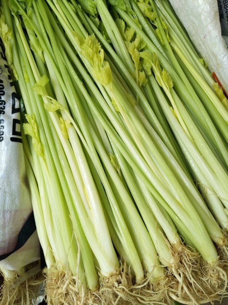 芹菜香芹水芹，水洗小芹，土芹