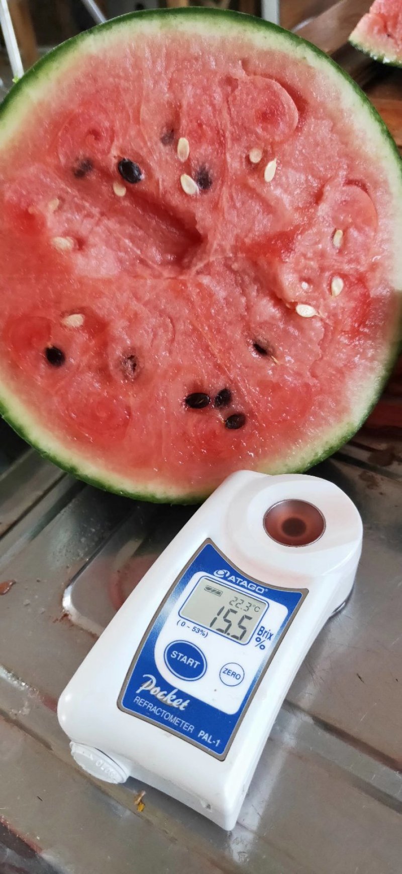 （热推）潍坊红玉西瓜手撕小西瓜大量上市视频看货
