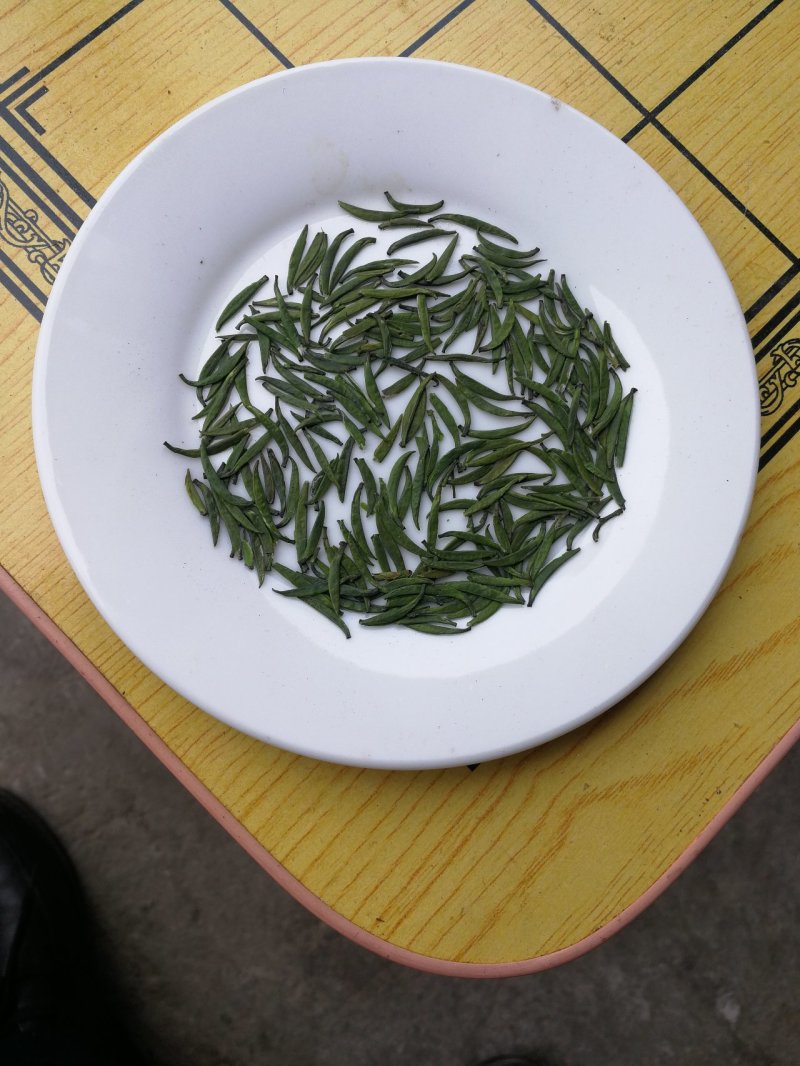 汉中仙毫