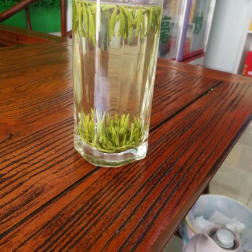 汉中仙毫