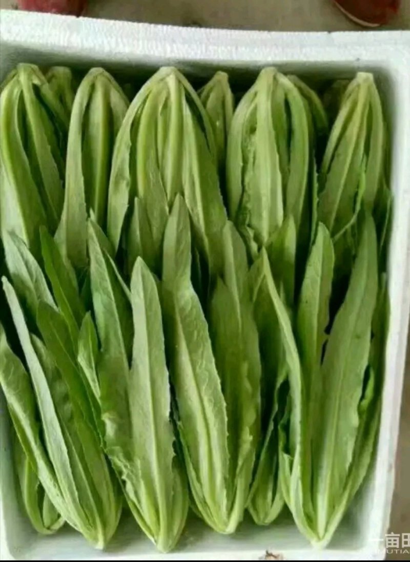 精品好油麦可提供超市，可以装框叶子绿，粗细跟。