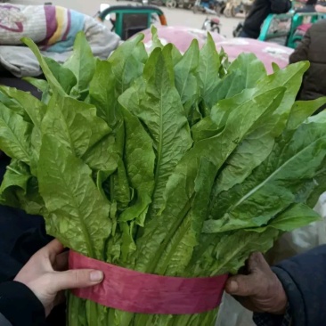 精品好油麦可提供超市，可以装框叶子绿，粗细跟。