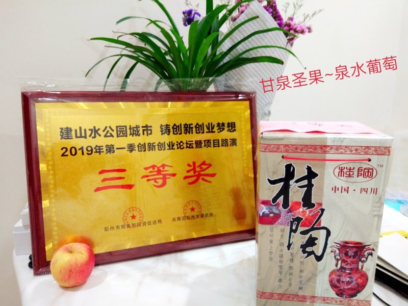 精品巨峰7月上市，阳光玫瑰8月上市，欢迎老板看货订购