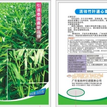 空心菜种子牛商推荐量大从优