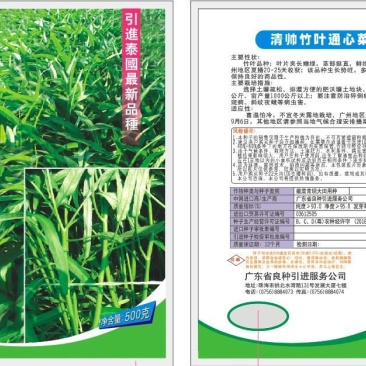 空心菜种子牛商推荐量大从优