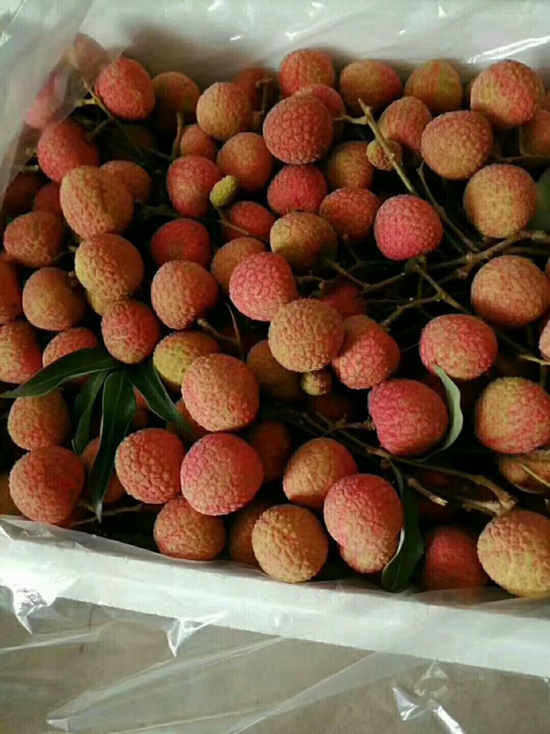 荔枝
