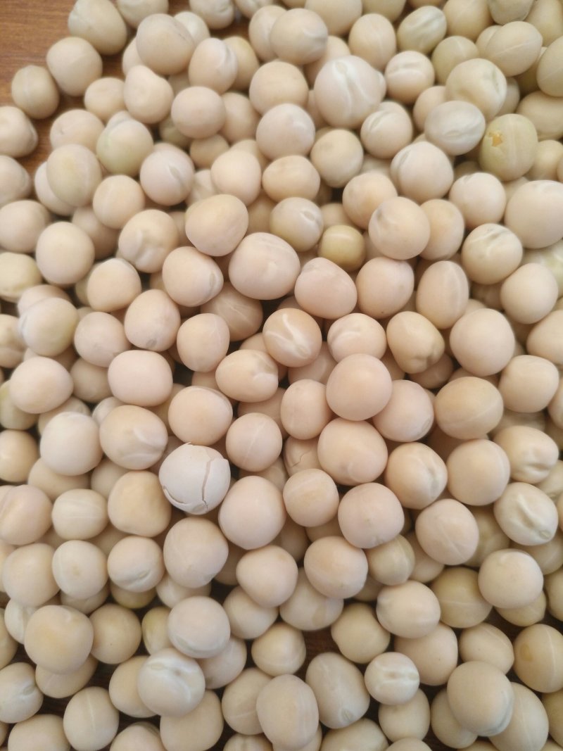 干白豌豆，油炸碗豆，做粉碗豆厂家直销