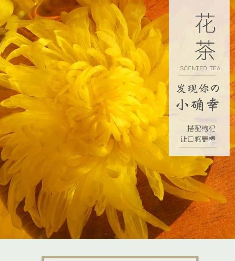 菊花茶袋装500克安微黄山贡菊大朵