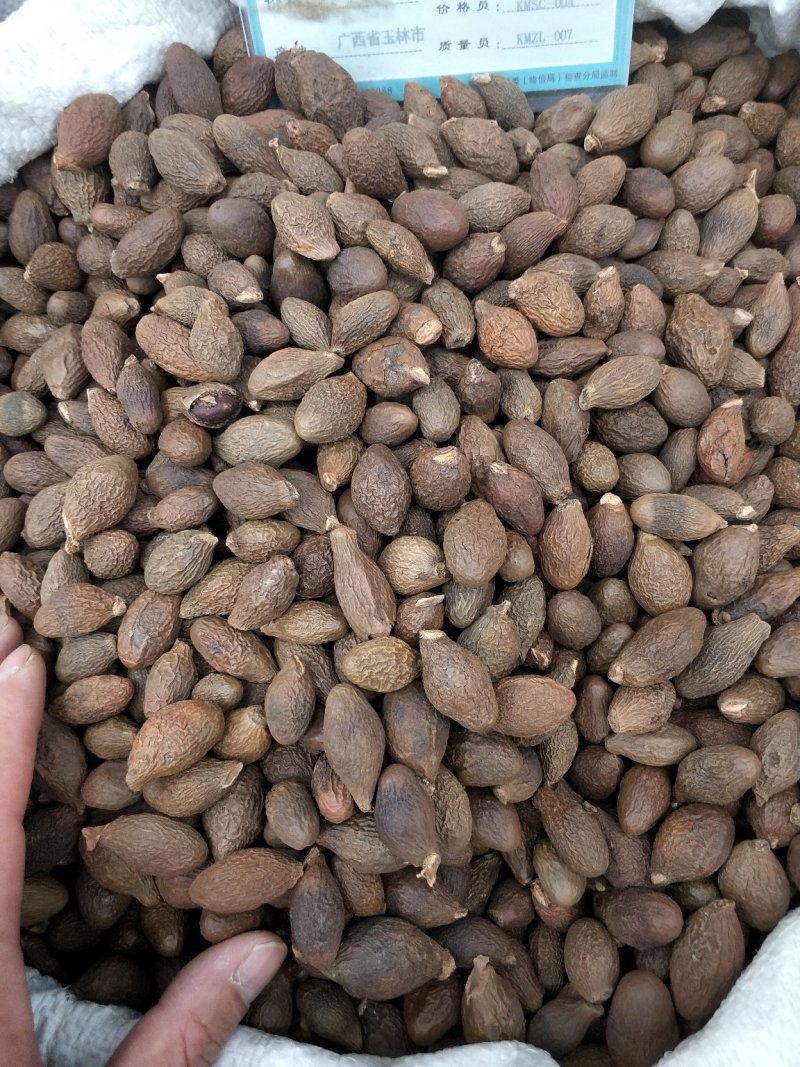 胖大海批发各种规格中药材，冷药材