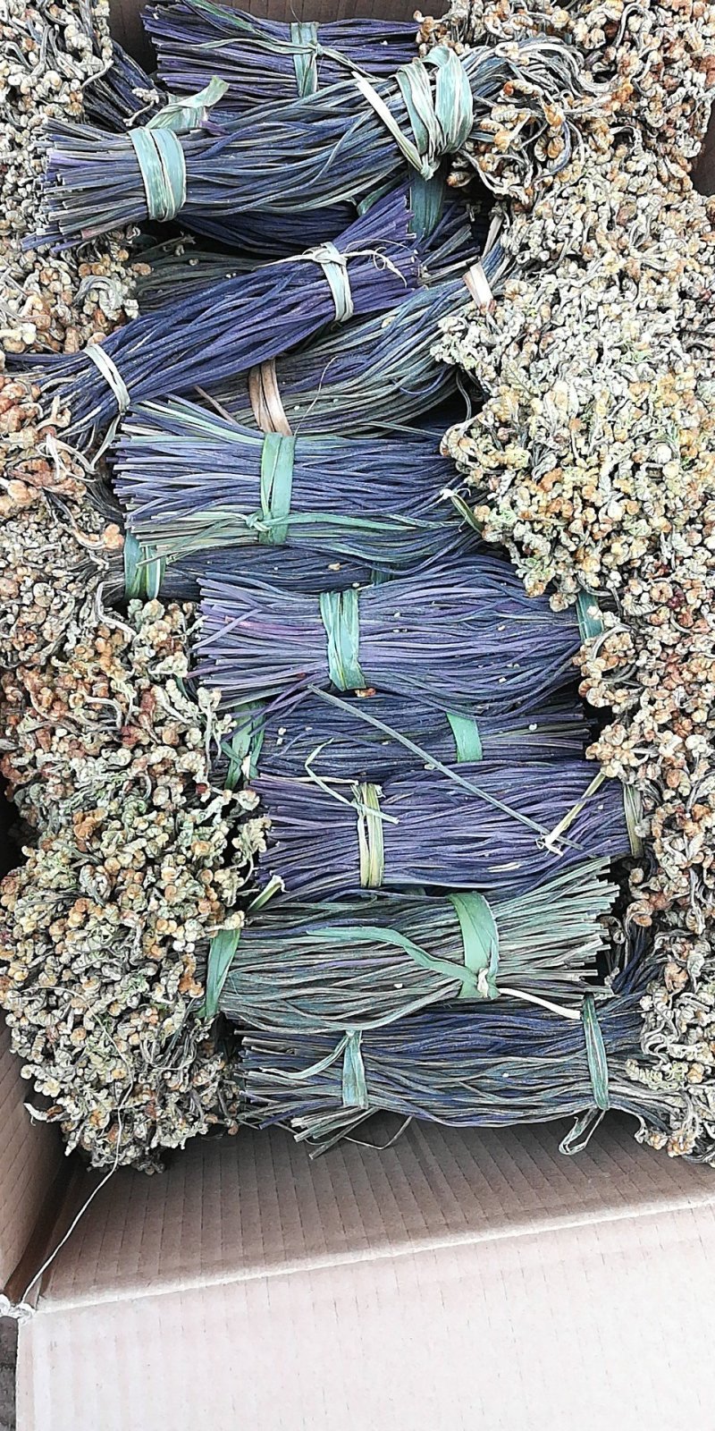 蕨菜又名拳菜
