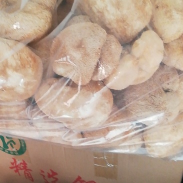 猴头菇