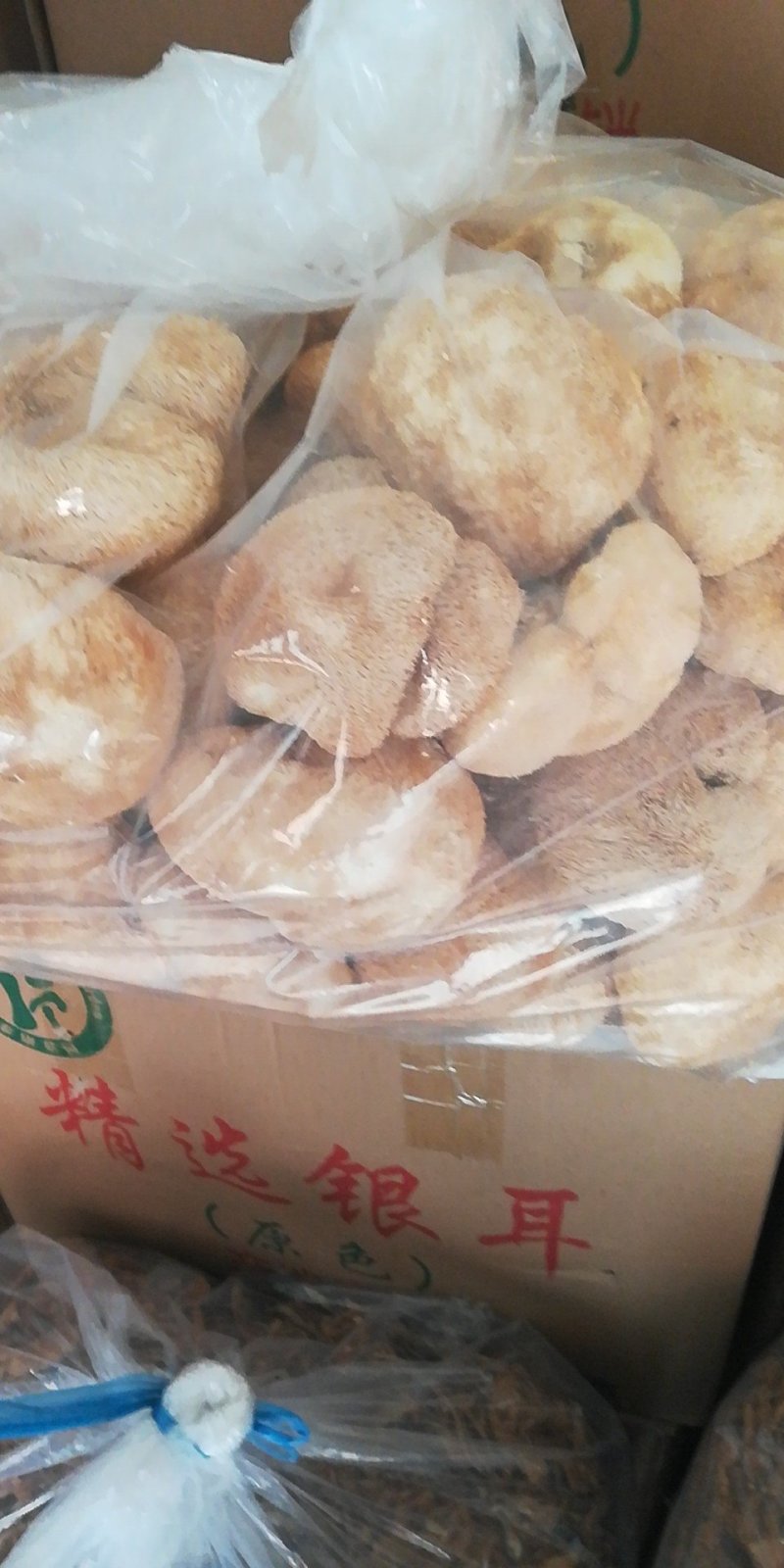 猴头菇
