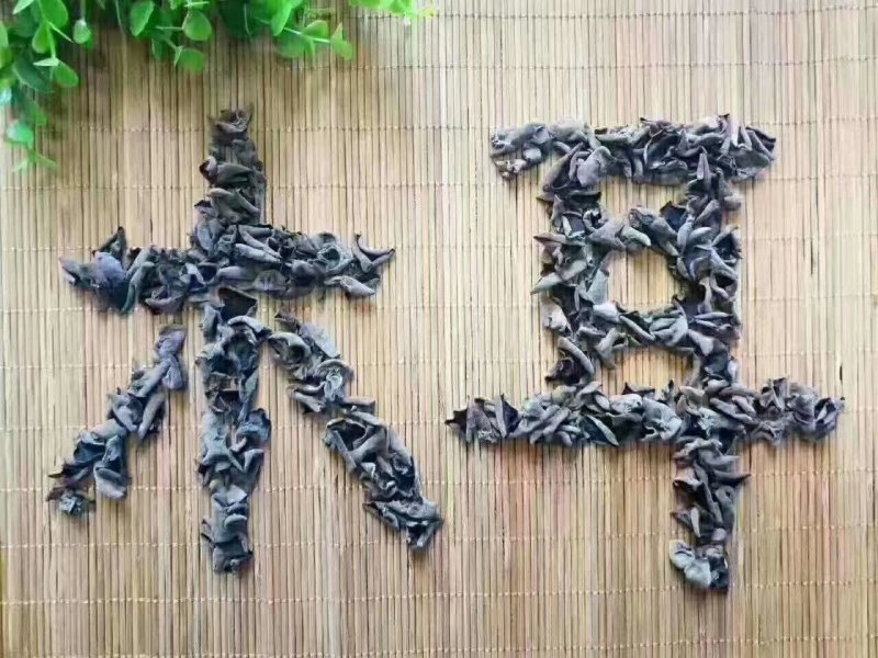 木耳