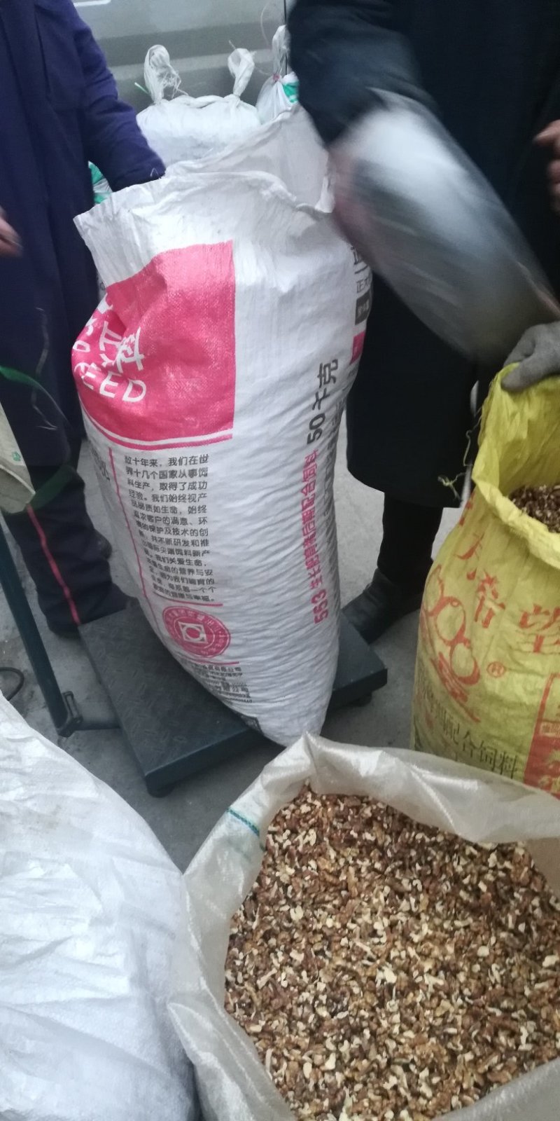 核桃仁