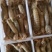 精品★皮皮虾虾爬虾婆【各规格齐全】