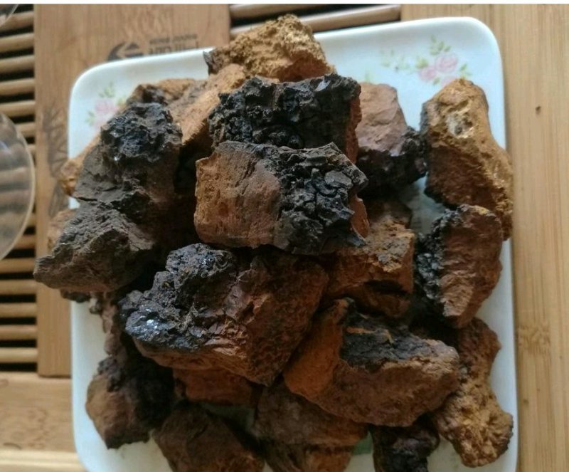 桦树茸