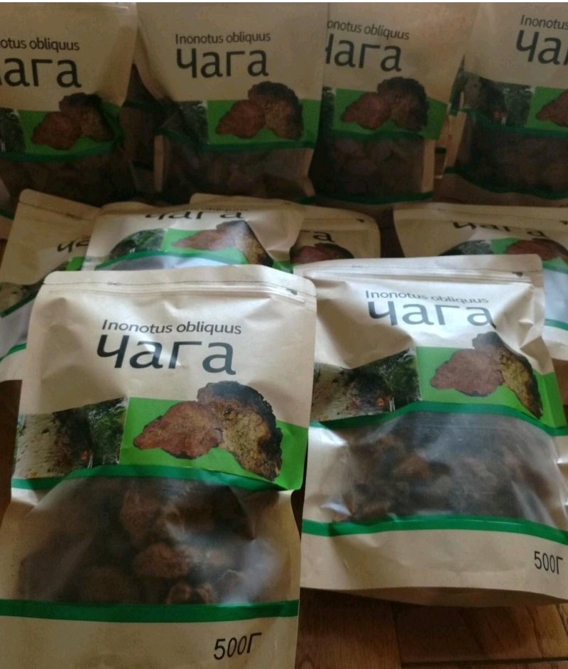 桦树茸