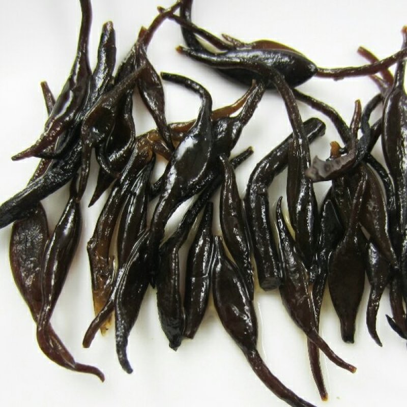 鹿角菜羊栖菜长寿菜海洋中的美食晒干羊栖菜包邮