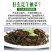 鹿角菜羊栖菜长寿菜海洋中的美食晒干羊栖菜包邮