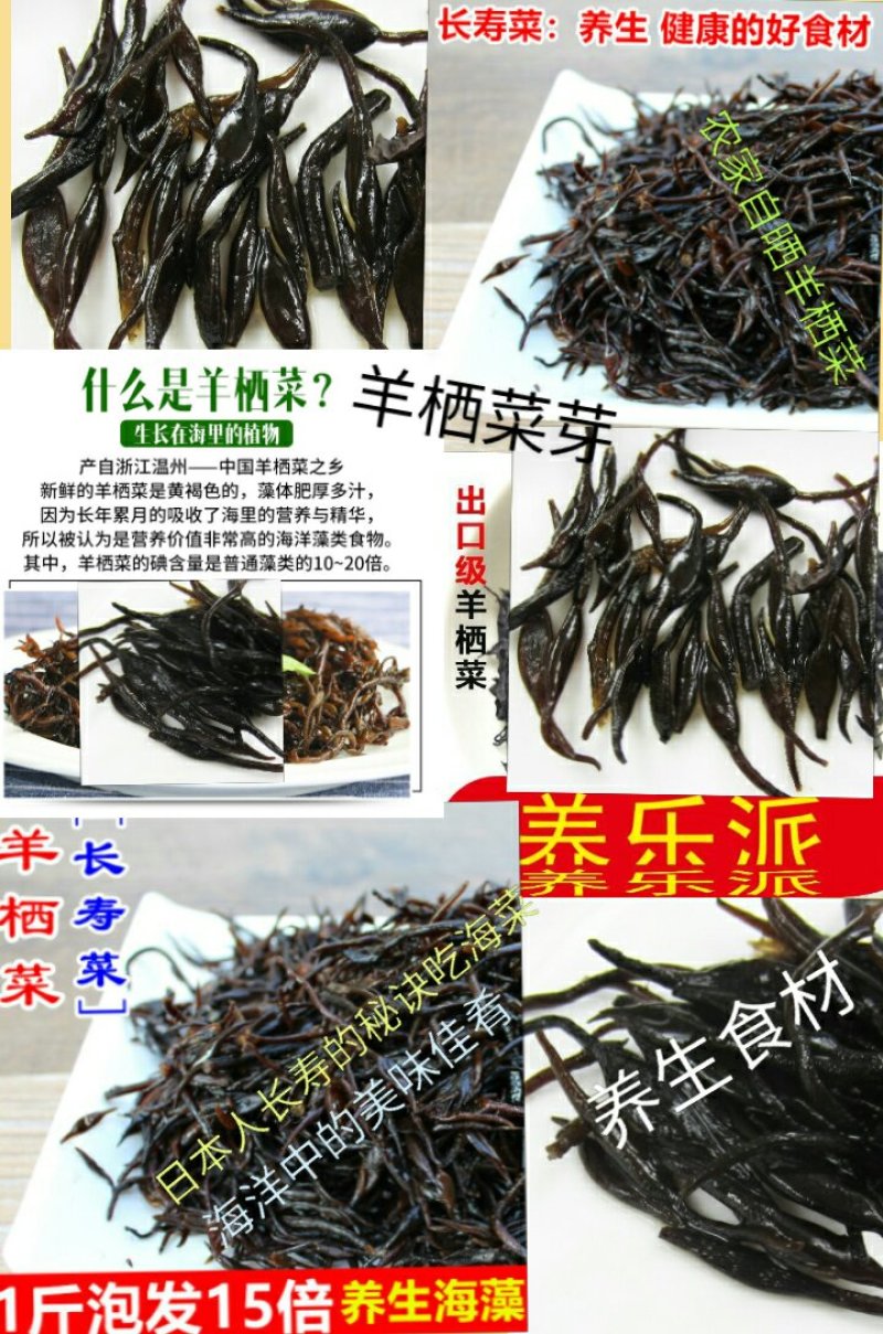 鹿角菜羊栖菜长寿菜海洋中的美食晒干羊栖菜包邮