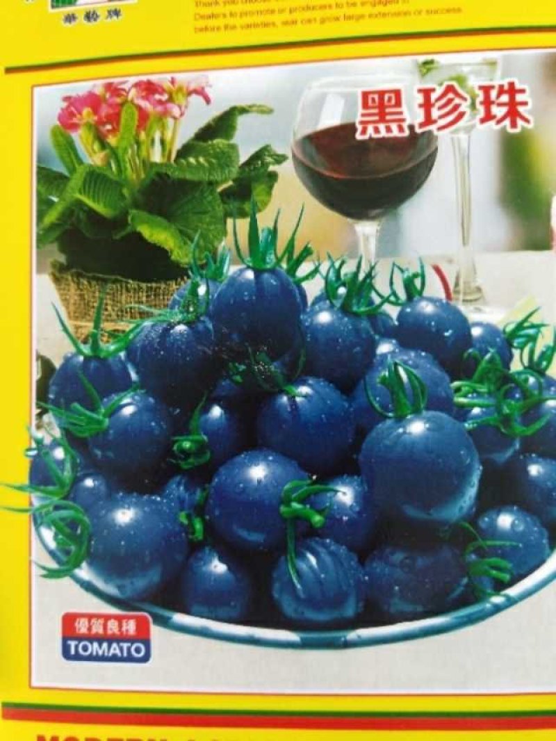 多彩番茄种子