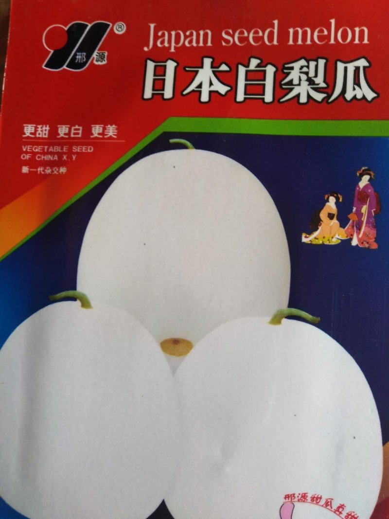甜瓜种子