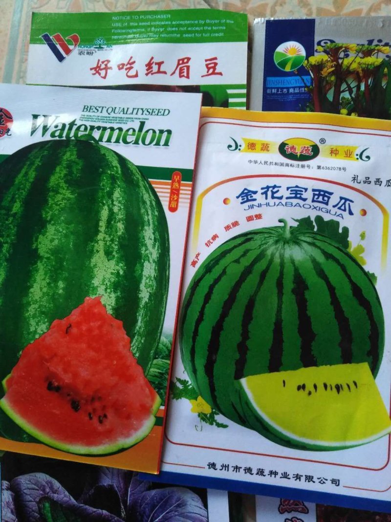 甜瓜种子