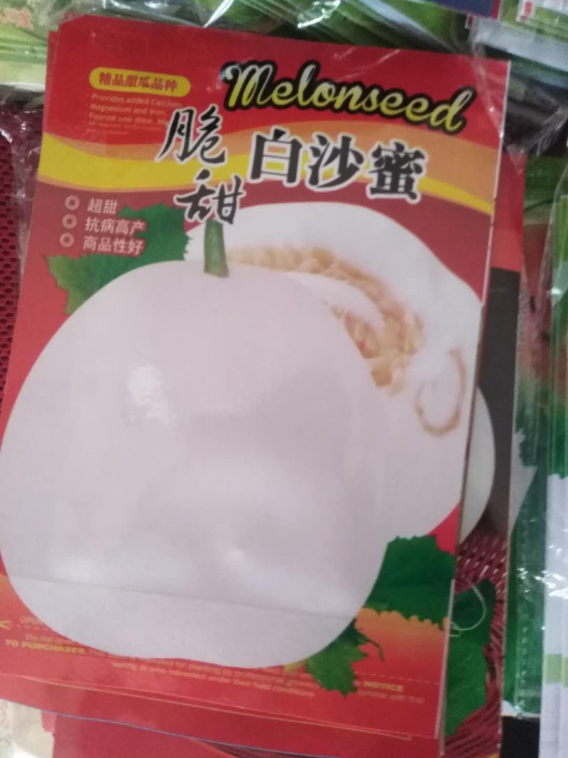 甜瓜种子