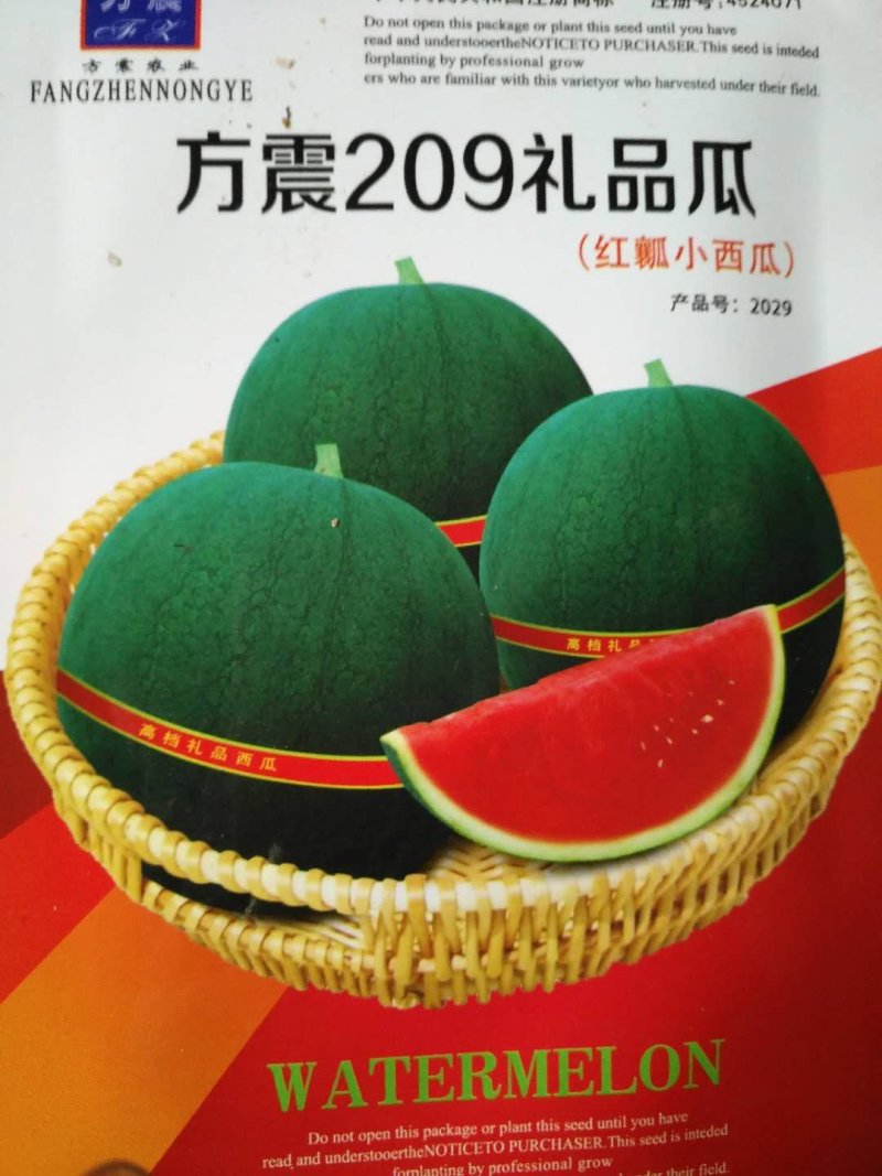 甜瓜种子