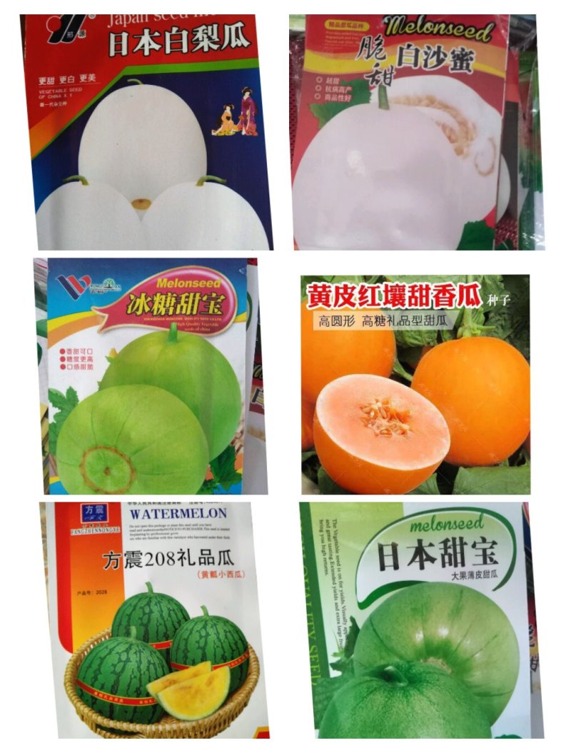 甜瓜种子