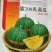 甜瓜种子