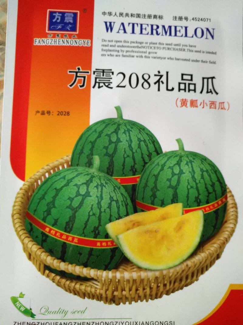 甜瓜种子