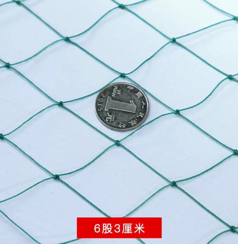 渔网鸡鸭鹅家禽养殖网防鸟网河塘养殖防逃网养殖网箱