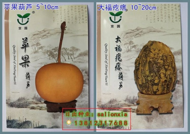 葫芦种子