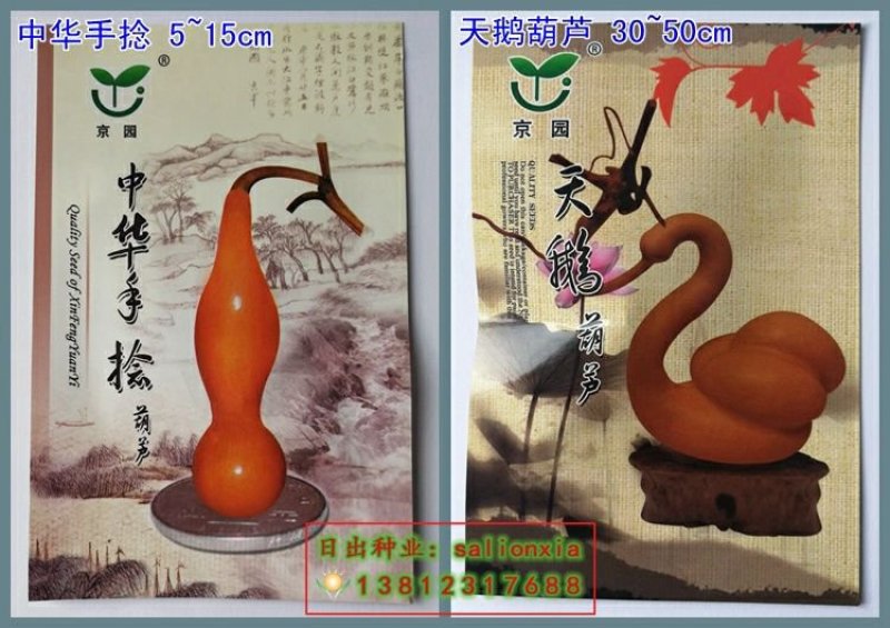 葫芦种子