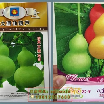 葫芦种子