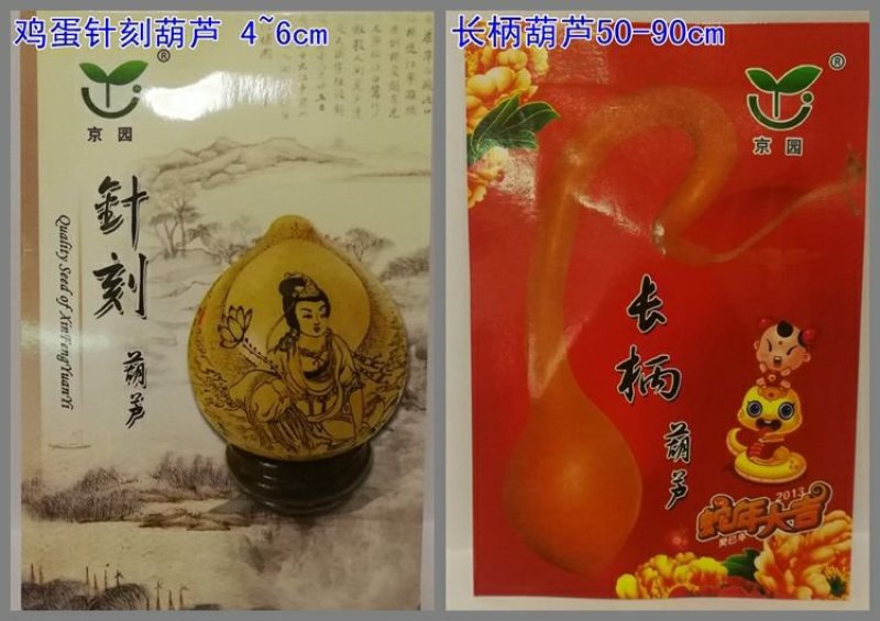 葫芦种子