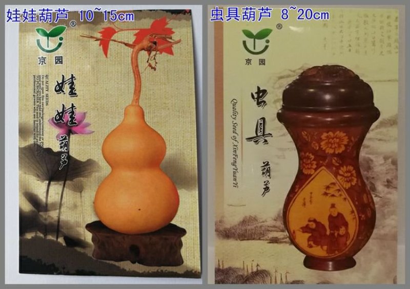 葫芦种子
